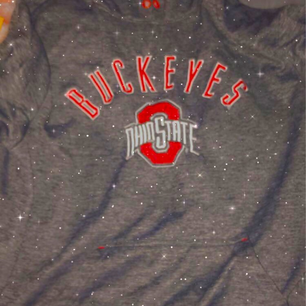 Ohio state hoodie